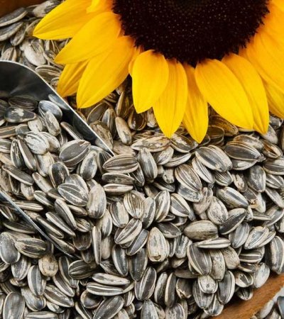 Aseguran que las semillas de calabaza, girasol, sésamo y lino despiertan deseo sexual 1 Semillas Girasol