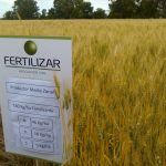 Afirman que la diferencia entre fertilizar bien y hacerlo mal puede ser de 7.000 kg/ha 21 WhatsApp Image 2016 11 21 at 17.06.02 1