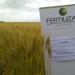 Afirman que la diferencia entre fertilizar bien y hacerlo mal puede ser de 7.000 kg/ha 23 WhatsApp Image 2016 11 21 at 17.06.03