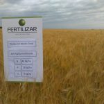 Afirman que la diferencia entre fertilizar bien y hacerlo mal puede ser de 7.000 kg/ha 35 WhatsApp Image 2016 11 21 at 17.07.13 1