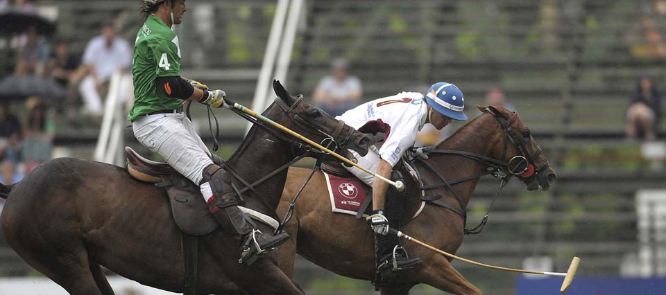 gale polo 3 960x426 426 960 6580