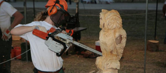 stihl escultura 631x280 280 631 7642