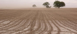 suelo-campo-lluvias-631-280-631-24535