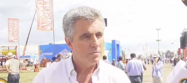 teo zorraquin 631 280 631 2360023002755