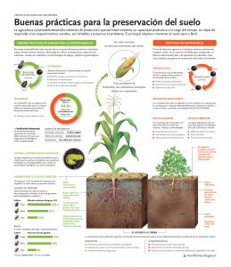 Intainforma Suelos ALTA2