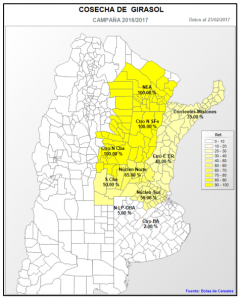 girasol