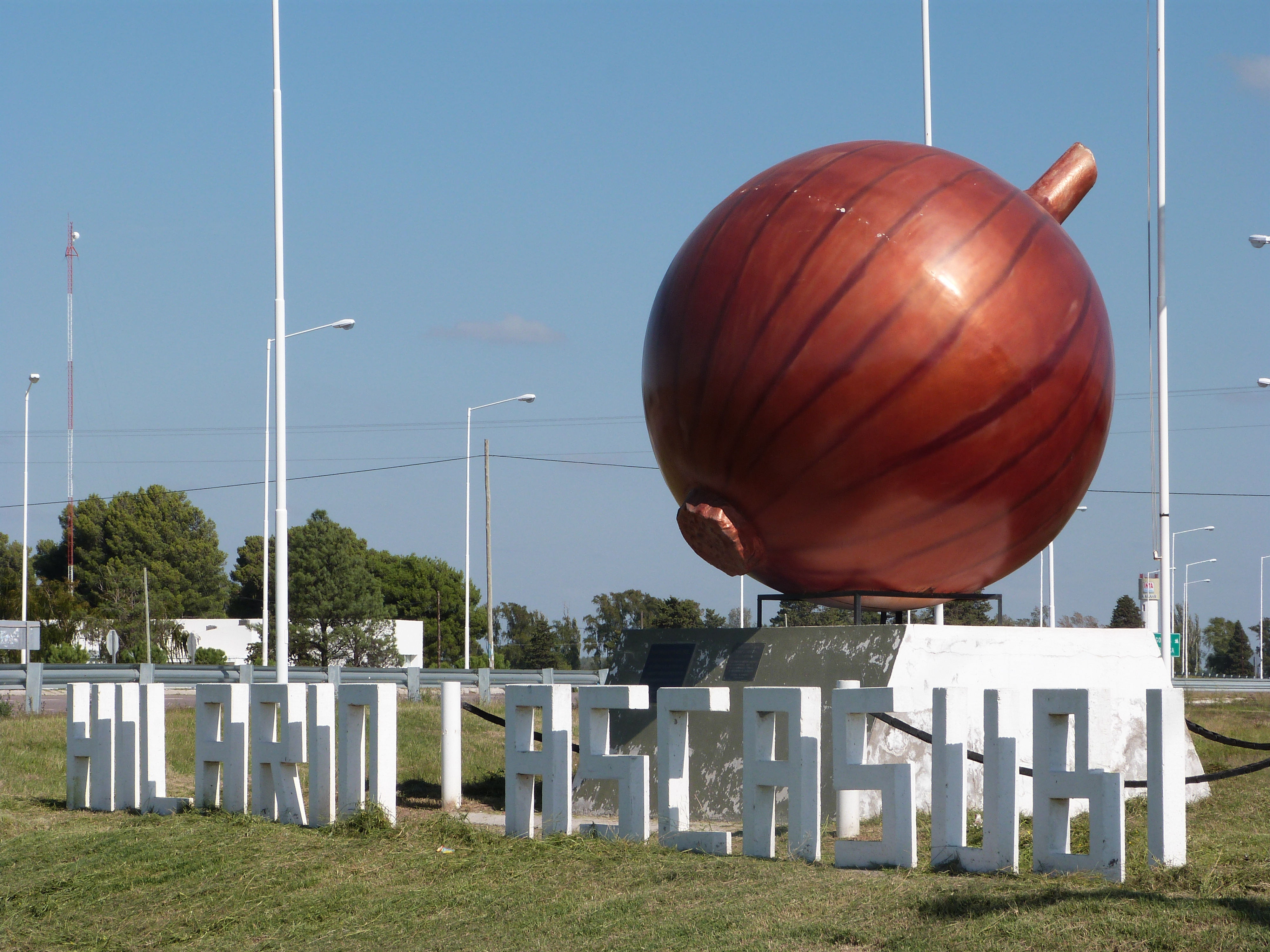 cebolla hilario ascasubi