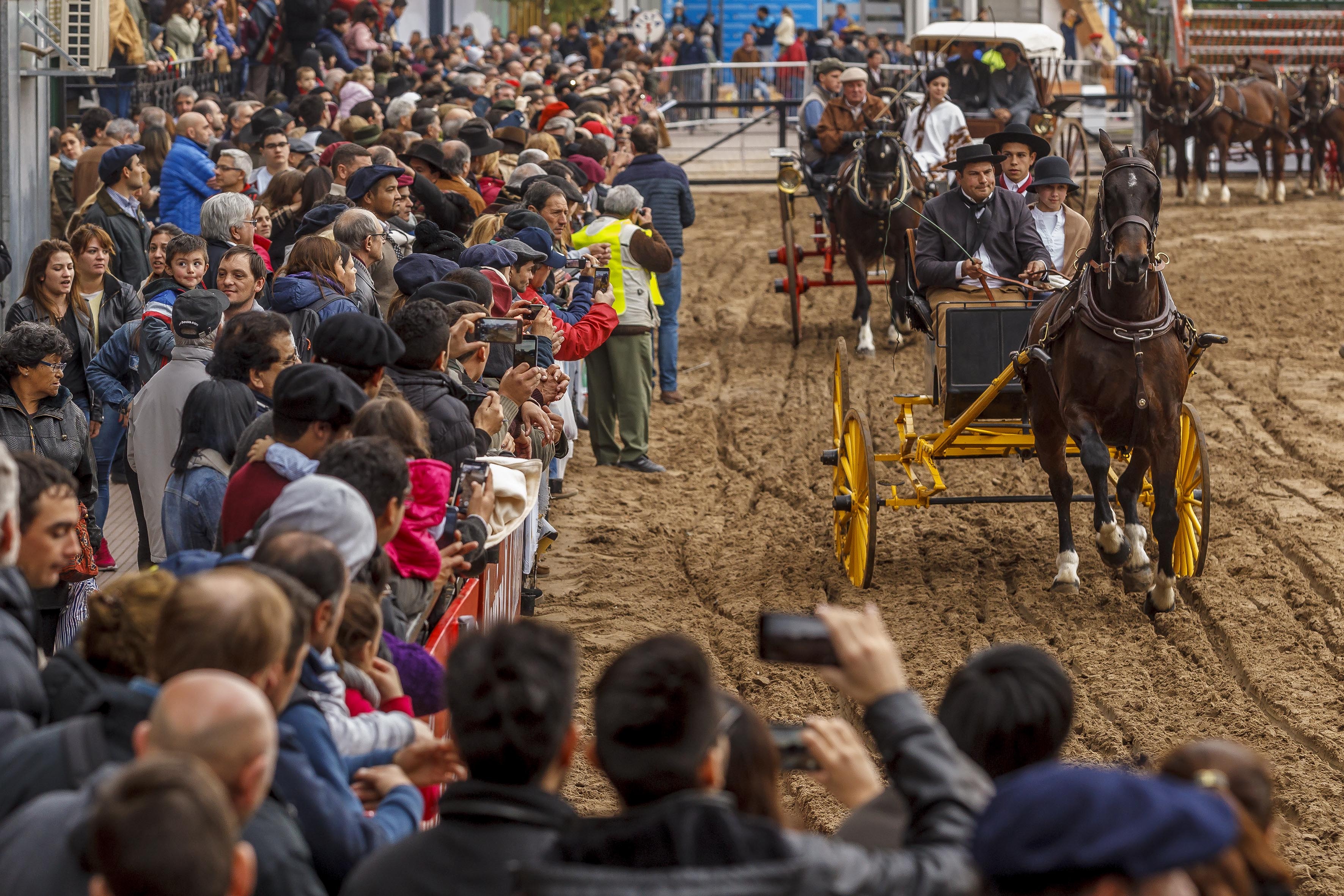Rural 2017 carruaje
