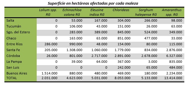Cuáles son y dónde están las malezas que invaden millones de hectáreas productivas 1 Superficie-en-ha-afectadas-por-cada-maleza