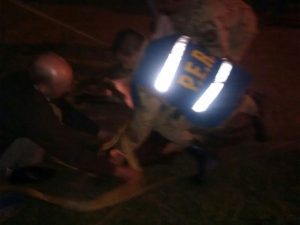 Una "vaca loca" se escapó en Entre Ríos y desató una intensa persecución 3 vaca loca