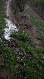 IMG-20171005-WA0027