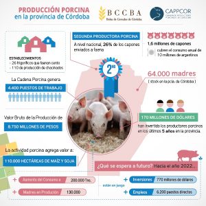infografia-porcinos
