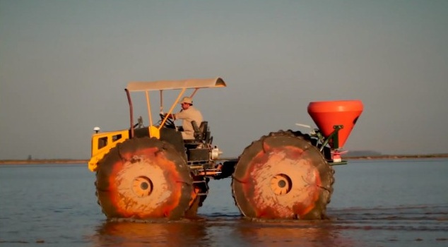 Cómo es la producción de arroz y pacú, una tendencia que crece en el NEA 5 arroz pacu 4