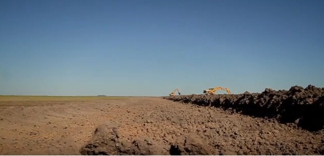 Cómo es la producción de arroz y pacú, una tendencia que crece en el NEA 2 arroz pacu