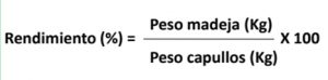 Paso a paso: cómo es la cría de gusanos para producir seda en el hogar 12 rendimiento gusanos