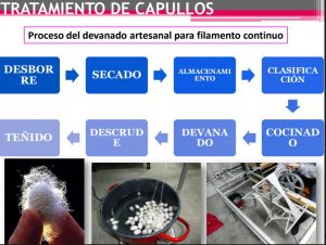 Paso a paso: cómo es la cría de gusanos para producir seda en el hogar 10 tratamiento gusanos cuadro