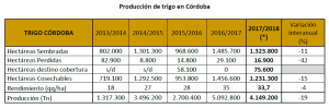 trigo