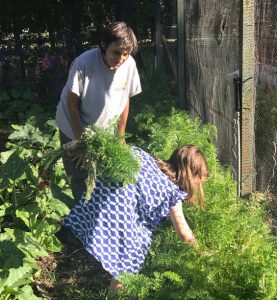 Cómo es el riego en la huerta de la Quinta de Olivos 6 03antoniahuerta