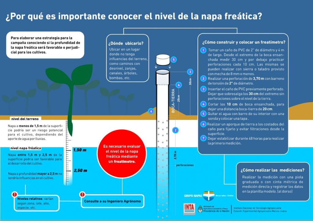 Napa freatica