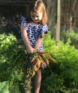 Cómo es el riego en la huerta de la Quinta de Olivos 5 antonia zanahorias