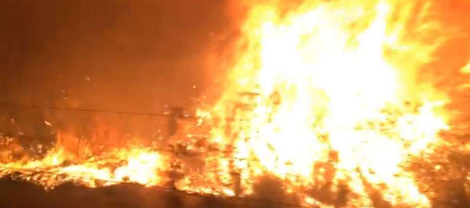 incendio general alvear mendoza