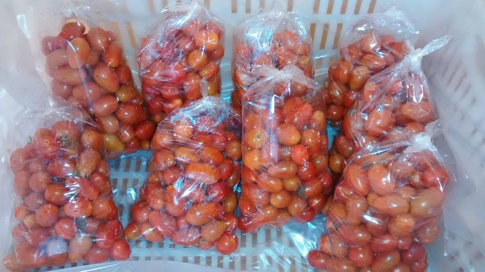 Una docente inició su propia huerta y hoy vende alimentos orgánicos en el norte bonaerense 2 lili4