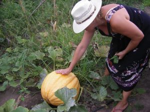 Una docente inició su propia huerta y hoy vende alimentos orgánicos en el norte bonaerense 3 lili6