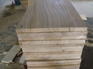 Plantar Paulownias garantiza una producción rentable y aporta al cuidado del medio ambiente 2 paulo4