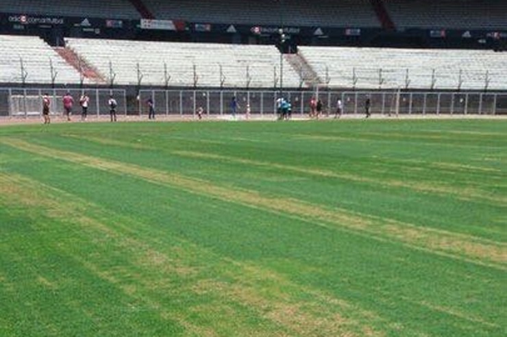 Por una confusión, aplicaron herbicida en vez de fungicida en la cancha de River 2 river2