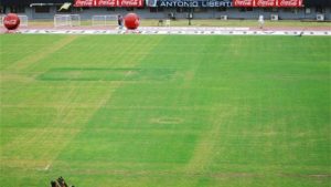 Por una confusión, aplicaron herbicida en vez de fungicida en la cancha de River 3 river4