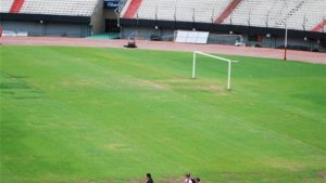 Por una confusión, aplicaron herbicida en vez de fungicida en la cancha de River 4 river5