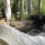 IMG_2437