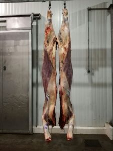carne res