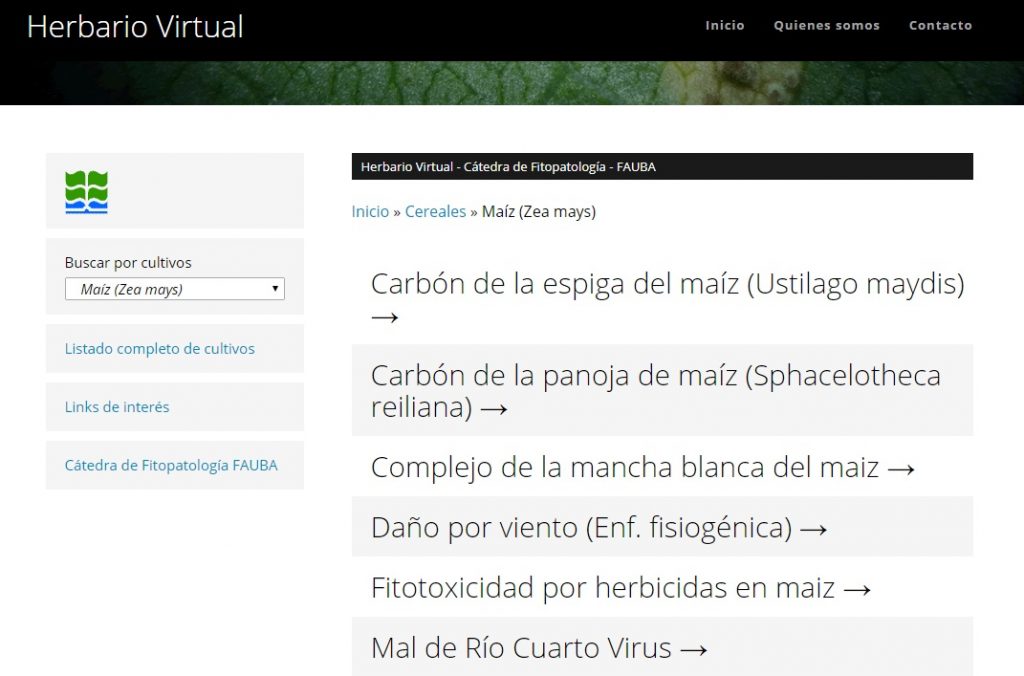 Herbario Virtual, la herramienta que pone a la fitopatología al alcance de todos 2 herbario1