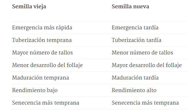 papa semilla.jpg4