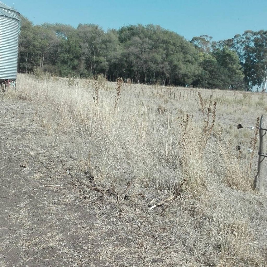 Silos Sequía