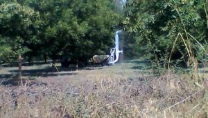 fumigacion