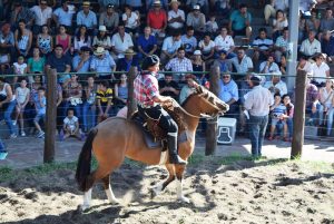 Caballos