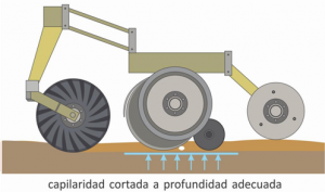 capilaridad 2