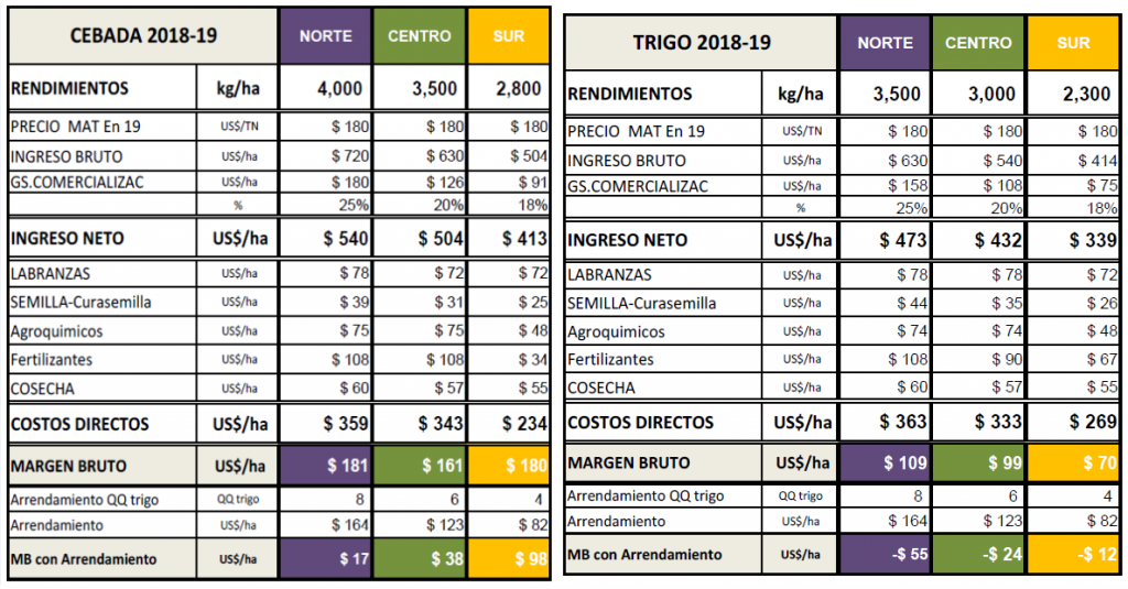 Cebada vs. Trigo: ¿Cuál de los dos cultivos tendría mejor margen bruto en la campaña? 1 compa