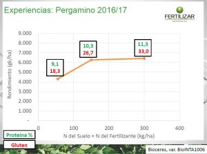 cuadro pergamino 2