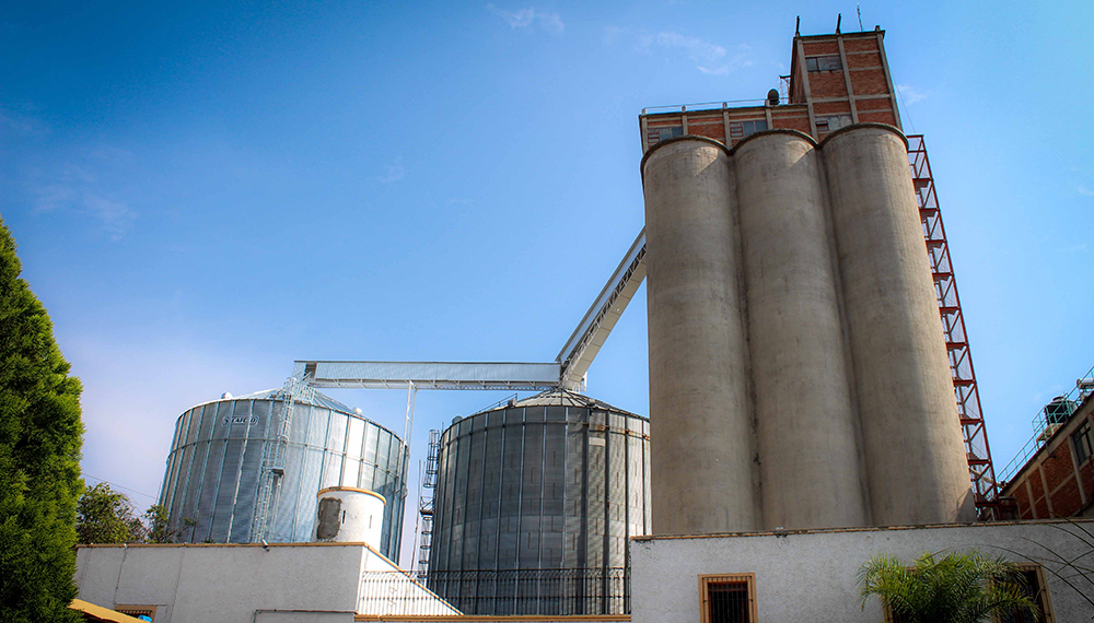 Molinos de trigo gk 3