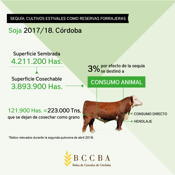 bccba soja