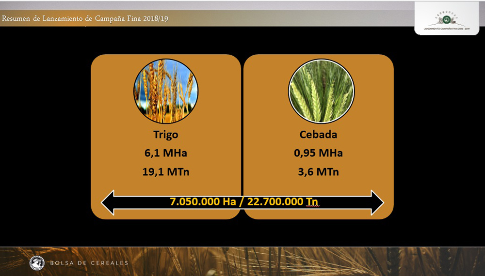 trigo