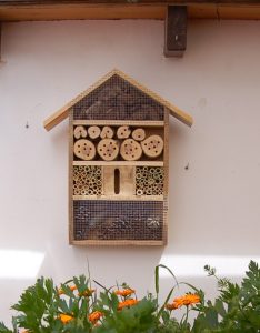 hotel de insectos 4