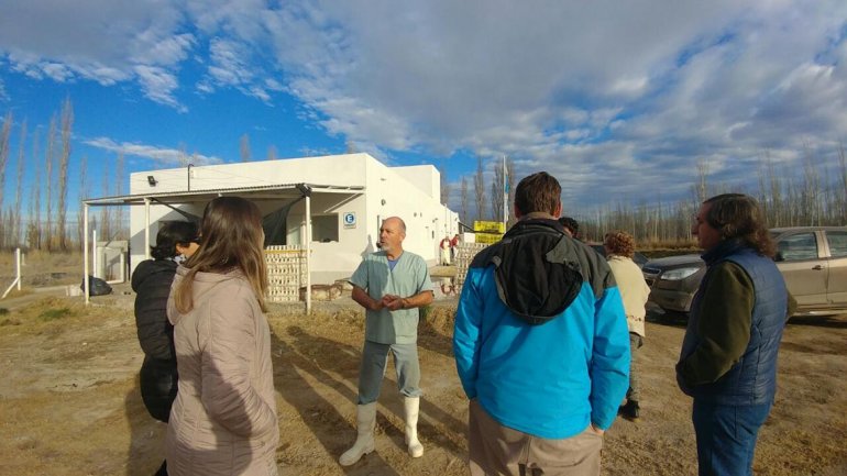 Realizaron un curso en Neuquén sobre la cría de pollos, una actividad que gana rentabilidad 1 cria pollos 1
