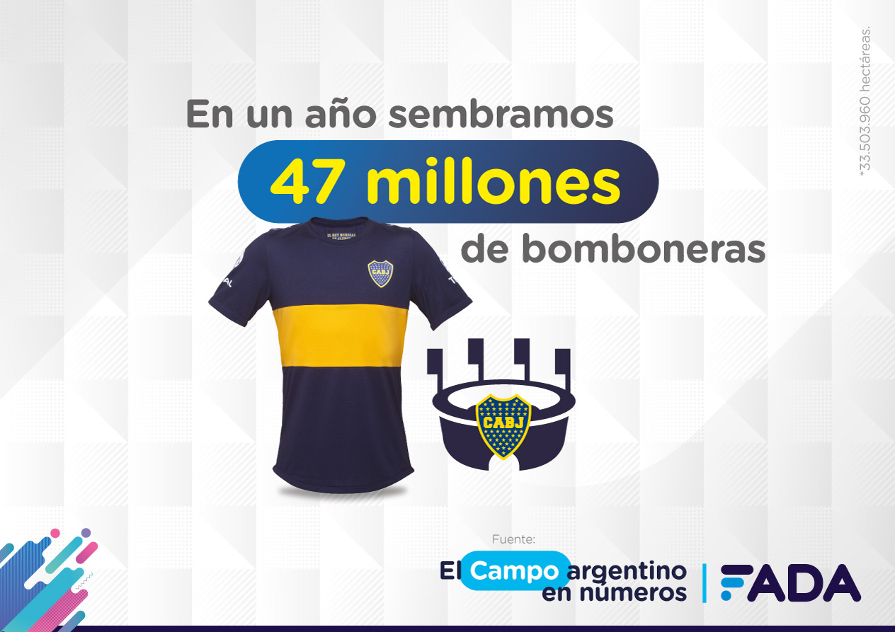 11 Campo en Numeros Siembra Bombonera