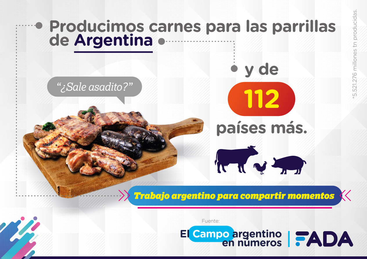 12 Campo en Numeros Carne