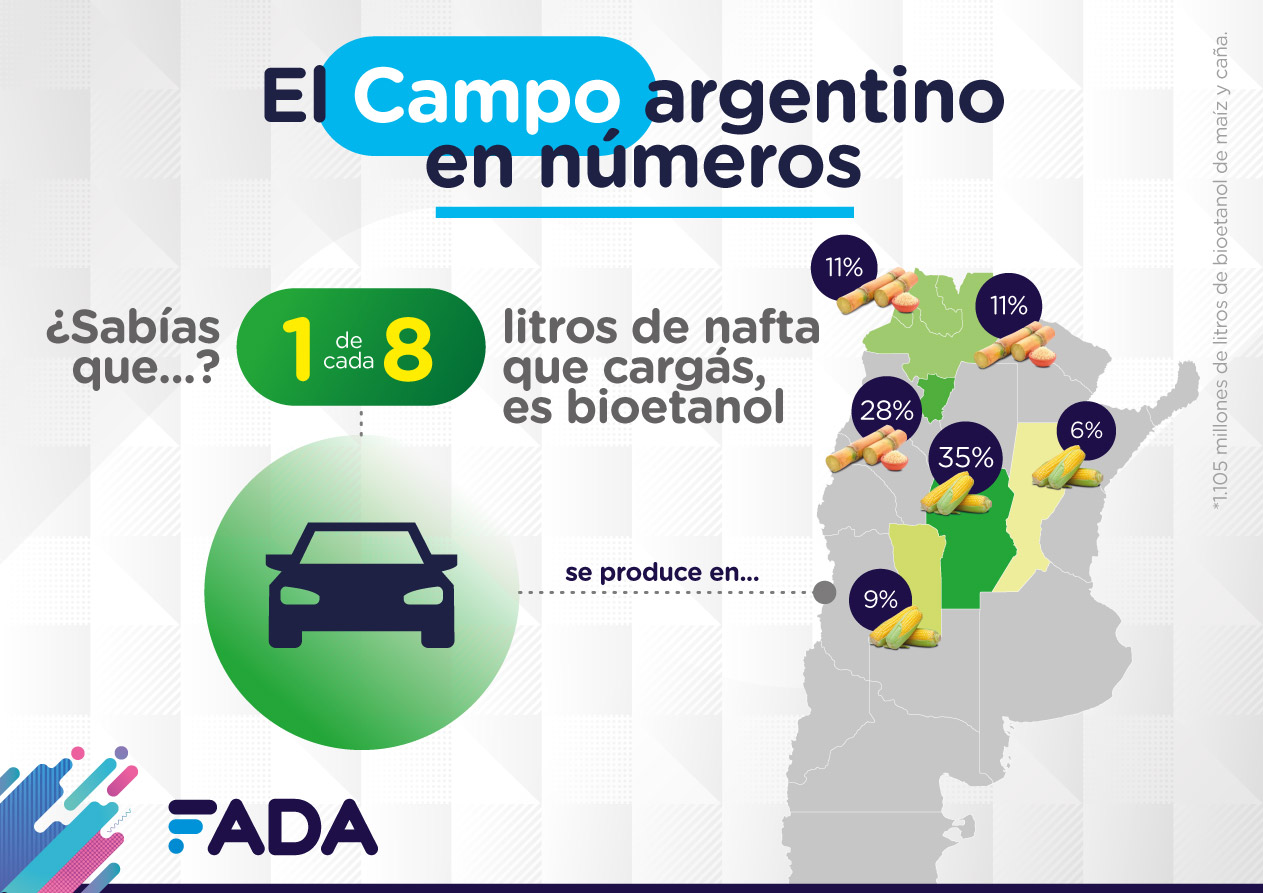 2 Campo en Numeros Bioetanol 1