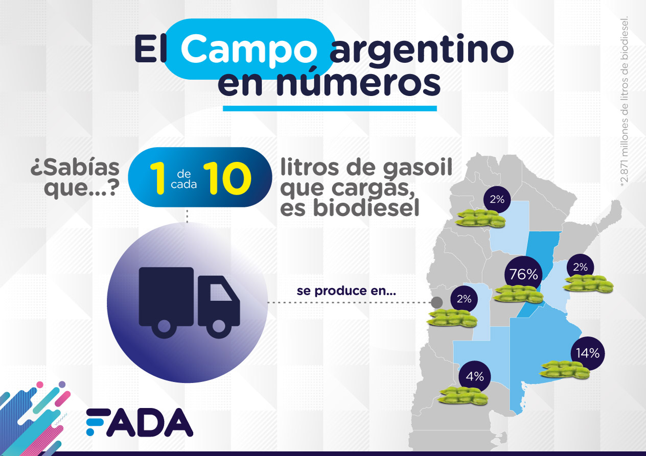 3 Campo en Numeros Biodiesel